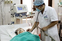 Ảnh minh họa. (Ảnh: TTXVN)