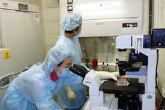 Việt Nam có 4 nơi đủ khả năng xét nghiệm xác định virus Ebola 