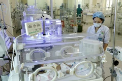 Nhân viên y tế chăm sóc cho trẻ sơ sinh. (Ảnh: Dương Ngọc/TTXVN)
