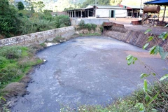 Ảnh minh họa. (Nguồn: TTXVN/Vietnam+)