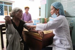 Ảnh minh họa. (Nguồn: TTXVN/Vietnam+)