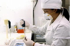 Nhân viên y tế làm các thủ tục xét nghiệm máu. (Ảnh: TTXVN/Vietnam+)