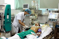 Bộ Y tế khuyến cáo nguy cơ bệnh than ở các tỉnh miền núi phía Bắc