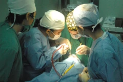 Một ca phẫu thuật hở hàm ếch. (Ảnh: TTXVN/Vietnam+)