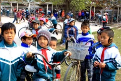 "Việt Nam chưa phải nước giàu để lấy cô dâu ở nước ngoài”