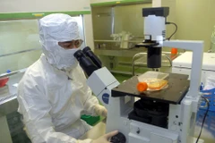 Chưa có dấu hiệu virus sởi biến đổi gen, thay đổi độc lực