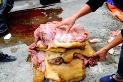 Đẩy mạnh thực hiện kiểm nghiệm thực phẩm dịp cận Tết. (Ảnh: TTXVN/Vietnam+)