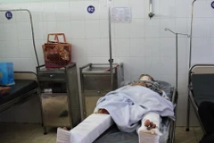 Ảnh minh họa. (Ảnh: TTXVN)