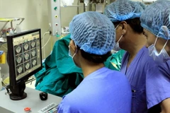 Ảnh minh họa. (Nguồn: TTXVN/Vietnam+)