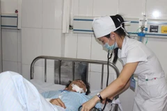 Tập trung cấp cứu, điều trị cho người bệnh bị rắn độc cắn 