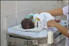 Chăm sóc trẻ sơ sinh tại một cơ sở y tế. (Ảnh: TTXVN)