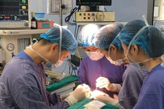 Các bác sỹ phẫu thuật cho bệnh nhân. (Ảnh: PV/Vietnam+)