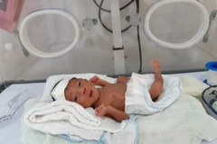 Hơn 15.000 trẻ chào đời trong 7 ngày nghỉ Tết Kỷ Hợi