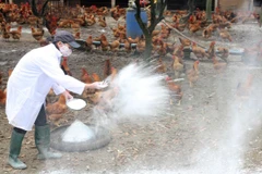 Phát hiện virus cúm A/H5N6 trên động vật ở Lạng Sơn và Hà Tĩnh