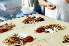 [Mega Story] 'Ma trận' giá cả dược liệu, vị thuốc y học cổ truyền 