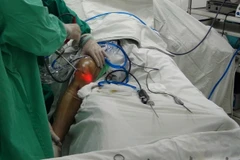 Ảnh minh họa. (Nguồn: TTXVN/Vietnam+)