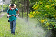  Nhân viên thú y phun thuốc khử trùng tại khu dân cư ở Singapore. (Ảnh: EPA/TTXVN)