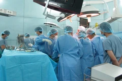 Ảnh minh họa. (Nguồn: TTXVN/Vietnam+)