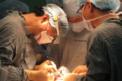 Bác sĩ Nagato Natsume (bên trái) tiến hành phẩu thuật cho trẻ em ở Bến Tre. (Ảnh: Thu Hiền/TTXVN)