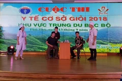 Một tiết mục tham gia cuộc thi. (Ảnh: PV/Vietnam+)
