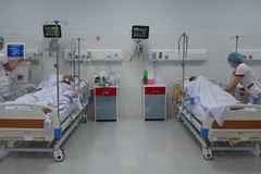 Chăm sóc cho bệnh nhân. (Ảnh: Vietnam+)