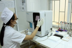 Ảnh minh họa. (Nguồn: TTXVN)