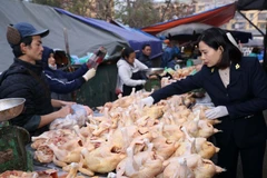 Kiểm tra an toàn vệ sinh thực phẩm tại một hộ kinh doanh thịt gia cầm ở chợ đầu mối tại Hà Nội. (Ảnh: Vũ Sinh/TTXVN)