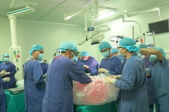 Các bác sỹ thực hiện ca ghép cho nữ bệnh nhân. (Ảnh: PV/Vietnam+)