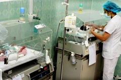 Ảnh minh họa. (Nguồn: TTXVN/Vietnam+)