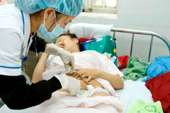 Ảnh minh họa. (Nguồn: TTXVN)