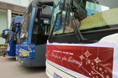 Những chuyến xe chở bệnh nhân về quê đón Tết. (Ảnh: T.G/Vietnam+)