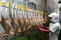 Siết chặt thanh tra cơ sở sản xuất hàng phục vụ Tết 