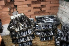 Số cá nục bị nhiễm độc phenol trong kho lạnh trước khi niêm phong. (Ảnh: Thanh Thủy/TTXVN)