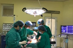 Các bác sỹ phẫu thuật cho bệnh nhân. (Ảnh: PV/vietnam+)