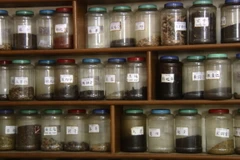 [Mega Story]: Vì sao loạn giá trên thị trường dược liệu đông y?