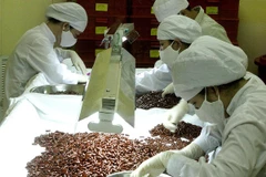 Số lượng thuốc trong nước trúng thầu tăng gấp đôi sau 2 năm