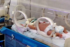 Ảnh minh họa. (Nguồn: TTXVN/Vietnam+)