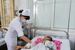 Nhân viên y tế tại Bệnh viện Bạch Mai chăm sóc cho bệnh nhân mắc bệnh truyền nhiễm. (Ảnh: T.G/Vietnam+)