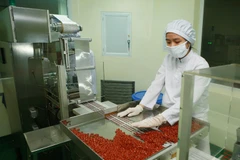 Sản xuất thuốc tại Công ty Cổ phần Dược phẩm Trung ương 3. (Ảnh: Lâm Khánh/TTXVN)