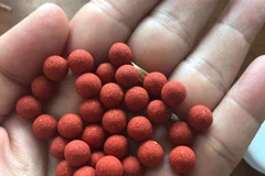 Hình ảnh vviên thuốc "tiểu đường hoàn" bệnh nhân đã sử dụng. (Ảnh: PV/Vietnam+)