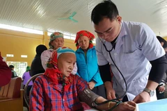 Bác sỹ khám bệnh cho người dân vùng cao tại tỉnh Cao Bằng. (Ảnh: PV/Vietnam+)