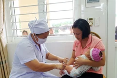 Tiêm vắcxin cúm mùa là biện pháp dự phòng hiệu quả nhất. (Ảnh: PV/Vietnam+)