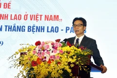 Phó Thủ tướng Chính phủ Vũ Đức Đam phát biểu tại hội nghị. (Ảnh: Dưong Ngọc/TTXVN)