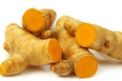 Bào chế Nano Curcumin chất lượng ngang của Mỹ