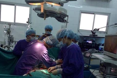 Ca mổ trình diễn phẫu thuật tim ít xâm lấn. (Ảnh: X.V/Vietnam+)