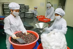 Sản xuất thuốc tại Công ty Cổ phần Dược phẩm Trung ương 3. (Ảnh: Lâm Khánh/TTXVN)
