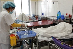 Ảnh minh họa. (Ảnh: Dương Ngọc/TTXVN)