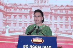 Chủ tịch Quốc hội Nguyễn Thị Kim Ngân phát biểu tại Hội nghị ngoại giao lần thứ 30. (Ảnh: Trọng Đức/TTXVN)