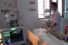 (Ảnh minh họa: Hưng Thịnh/TTXVN)