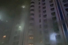 (Nguồn: nationmultimedia)